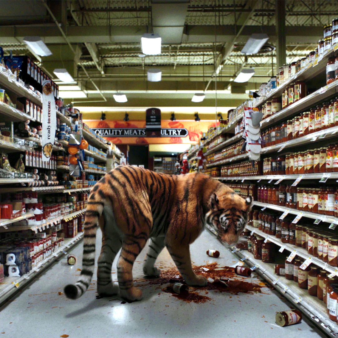 Euphoria book club and reading nook  null